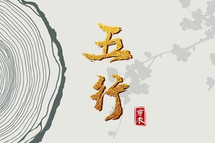 流年命盘排盘 命盘 专业细盘命盘 紫微星黄历