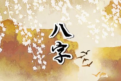 五阳干创业差异