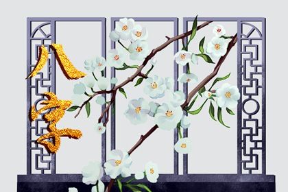 时柱只看老年吗?