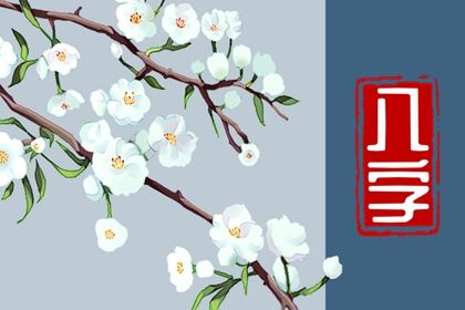 软件排盘也会错吗？