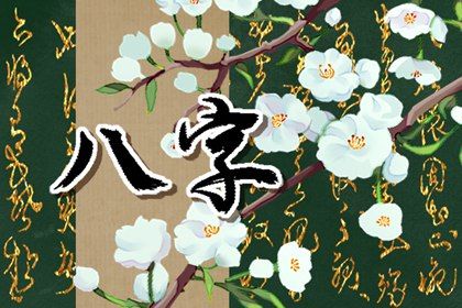 胎元与时柱会说话