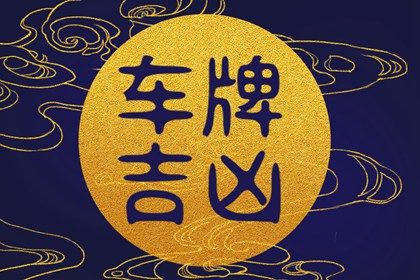 车牌区域编号