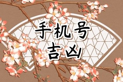 工具的算法黑箱