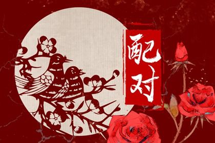婚姻相合_算命查八字婚姻_婚姻看八字_合婚姻测算