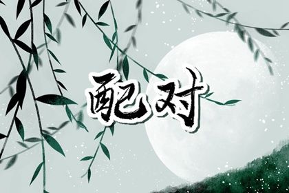恋爱婚姻配对 配对指数 嫁娶生肖配对 名字合八字