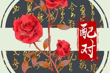 干支日历,日历查询吉日,日历2026年黄历,日历2026年日历表