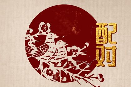 查询车牌号码吉凶测试,测车牌号码吉凶查询,车牌预测号码吉凶查询,969车牌号打分,查车牌号吉凶查询系统