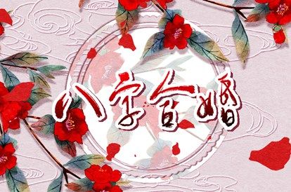 试爱情配对_抽签算姻缘_姓名测婚姻配对_合婚择日期_试婚姻配对