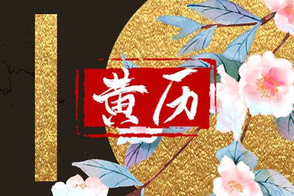 九星不等于命运