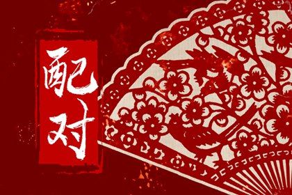 理想伴侣的成长性