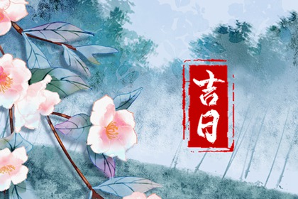 择日解决哪些事