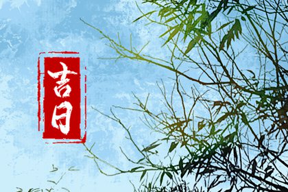 搬家忌冲户主生肖