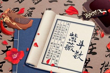 纳音的文化趣味