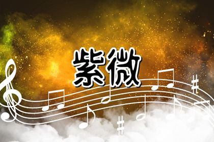在线查询的信息从哪来