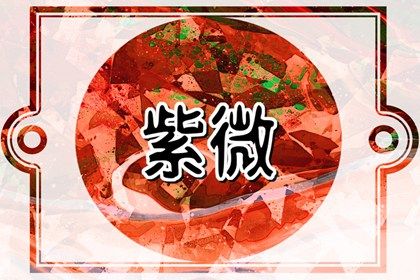 宫位与地支怎么对应