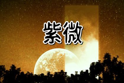 结果看完还要做什么
