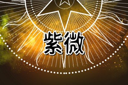 十四主星各管什么