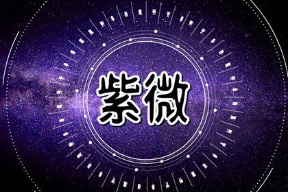 田宅宫包含什么