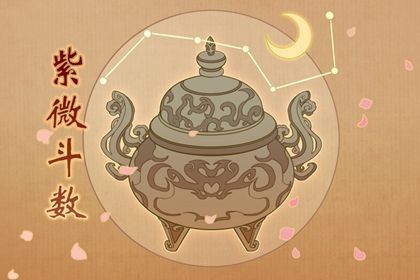 命身同宫说明什么